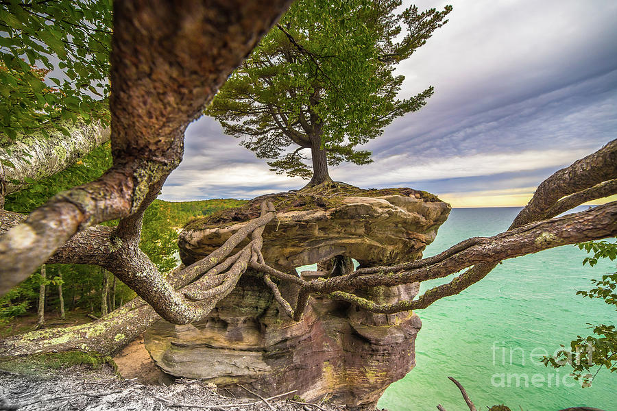 Sunset Photograph - Chapel Rock  With Strong Roots You Can Do Anything  4971 by Norris Seward