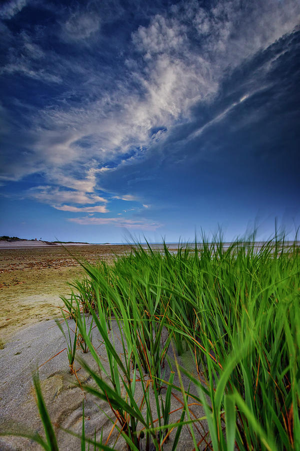 Nature Photograph - Chapin Beach by Rick Berk