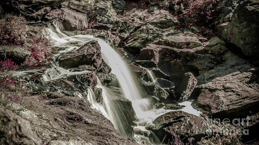 Chapman Falls monochrome Photograph by Claudia M Photography