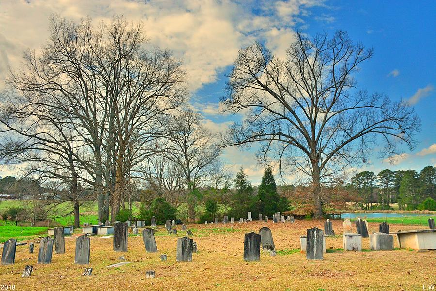 Chapman Summers Cemetery Newberry SC 2 Photograph by Lisa Wooten