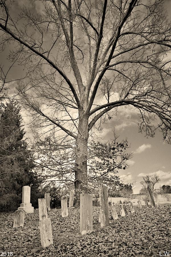Chapman Summers Cemetery Newberry SC Vertical Black and White Photograph by Lisa Wooten