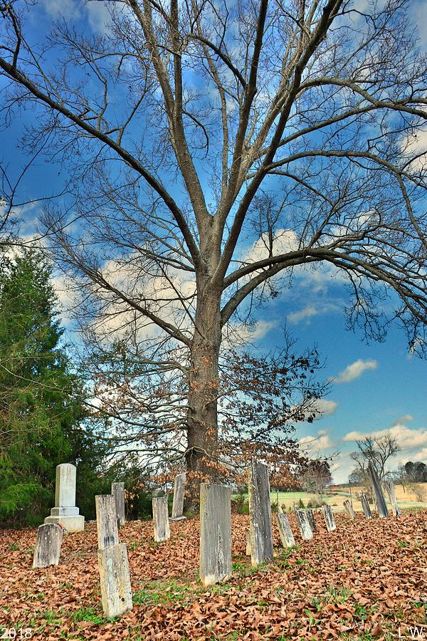 Chapman Summers Cemetery Newberry SC Vertical Photograph by Lisa Wooten