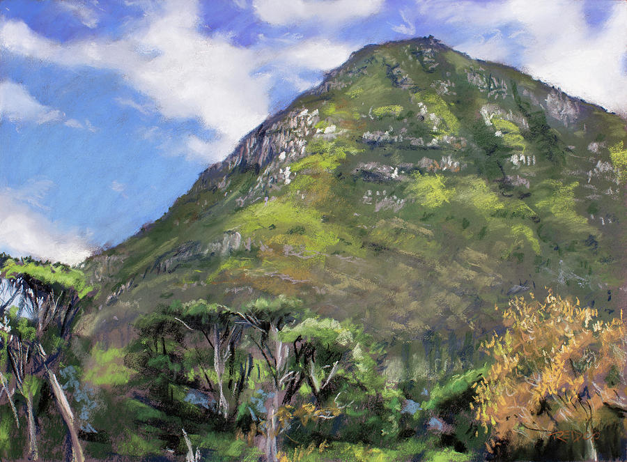 Chapmans Peak From Noordhoek Commons Painting by Christopher Reid