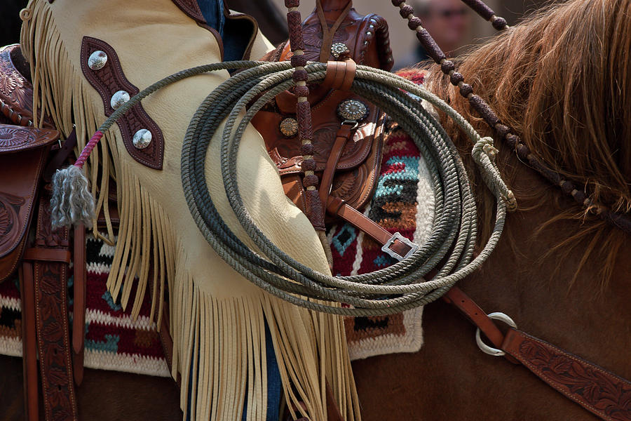 Chaps and Rope Photograph by Roger Mullenhour
