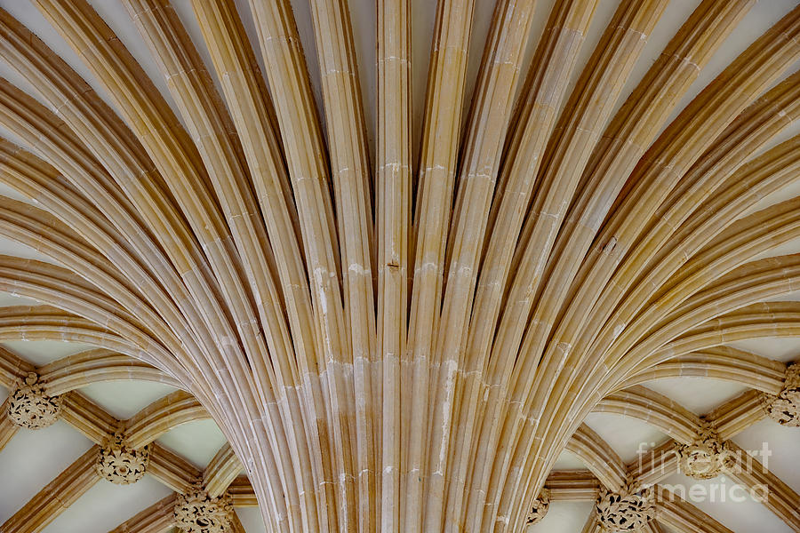 Chapter House ceiling, Wells Cathedral. Photograph by Colin Rayner