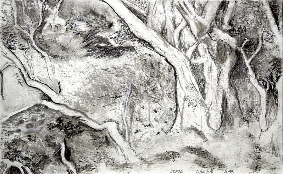 Charcoal Copse Painting by Kathleen Barnes
