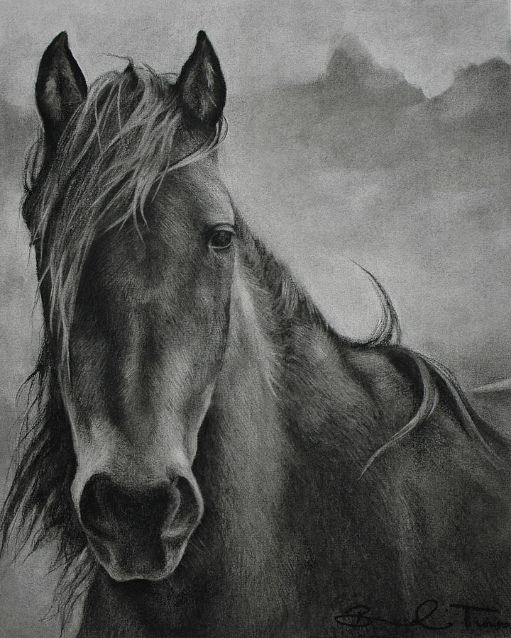 Charcoal Horse Drawing by Brandi Timko Pixels