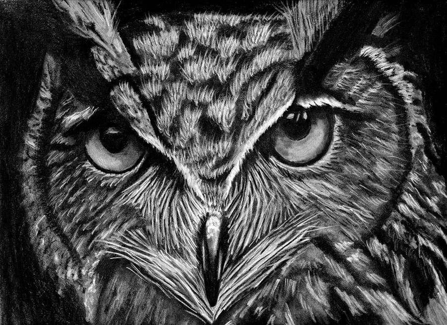ArtStation - Charcoal drawing of an Owl