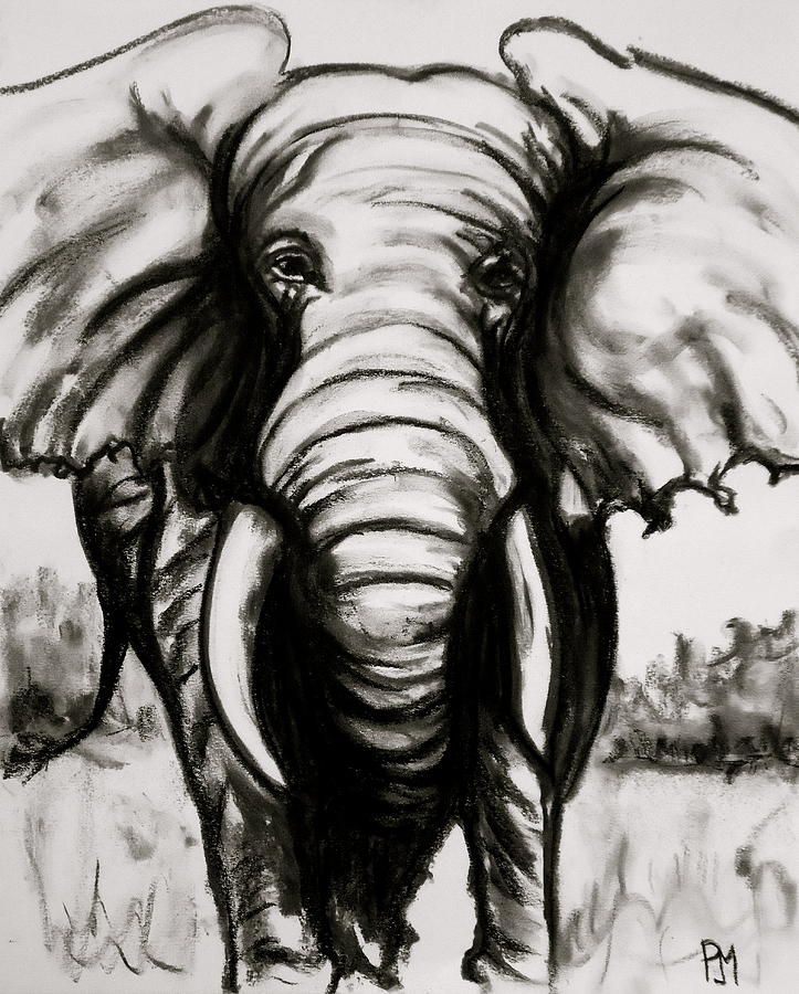 Charcoal Drawings Of Elephants