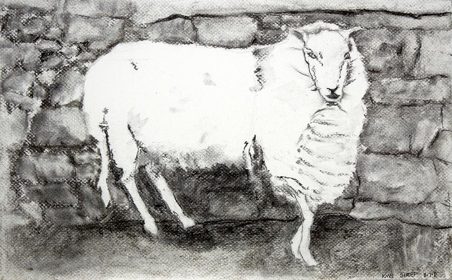 Charcoal Sheep Painting by Kathleen Barnes