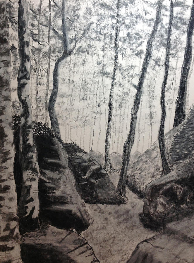 Charcoal study, Am I Lost Drawing by Michael Kitei - Fine Art America