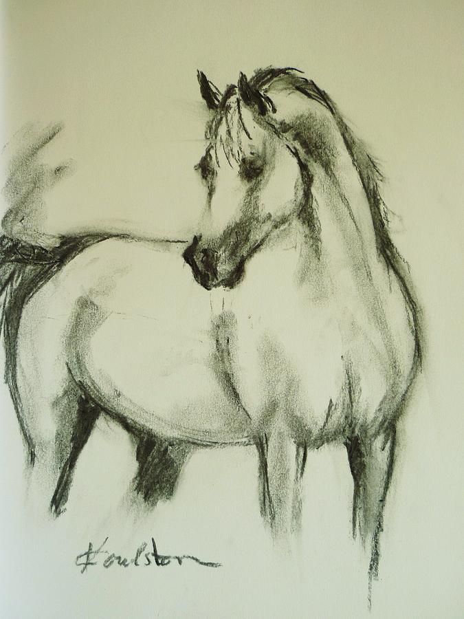 Horse Painting - Charcoal Study of a Horse by Veronica Coulston