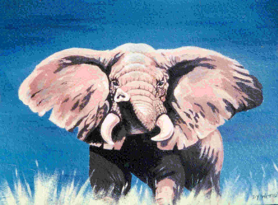 Wildlife Painting - Charging Elephant by Dy Witt