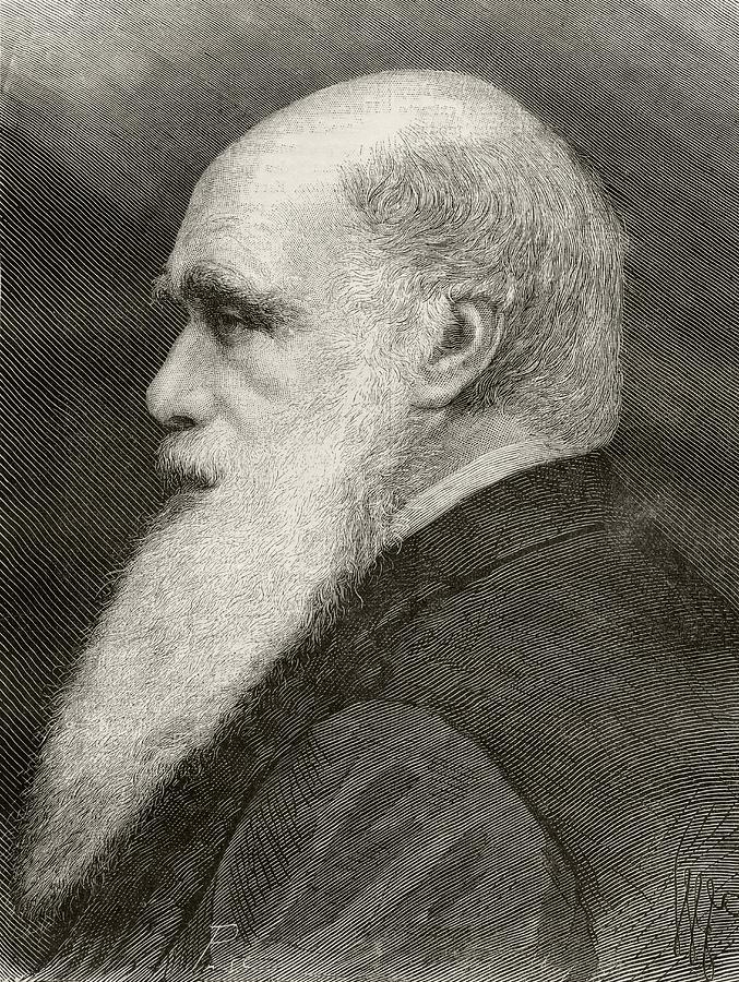 Portrait Drawing - Charles Darwin 1809 - 1882. English by Vintage Design Pics