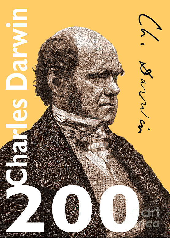 Charles Darwin Digital Art - Charles Darwin 200 yellow by Steve Wyburn