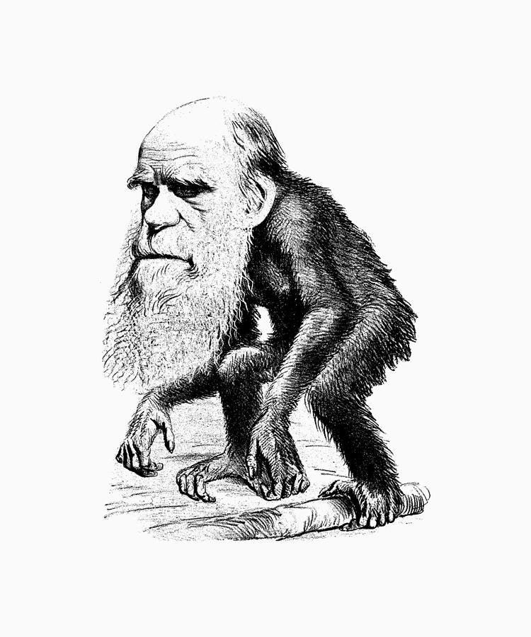 Charles Darwin As An Ape Cartoon Mixed Media by War Is Hell Store