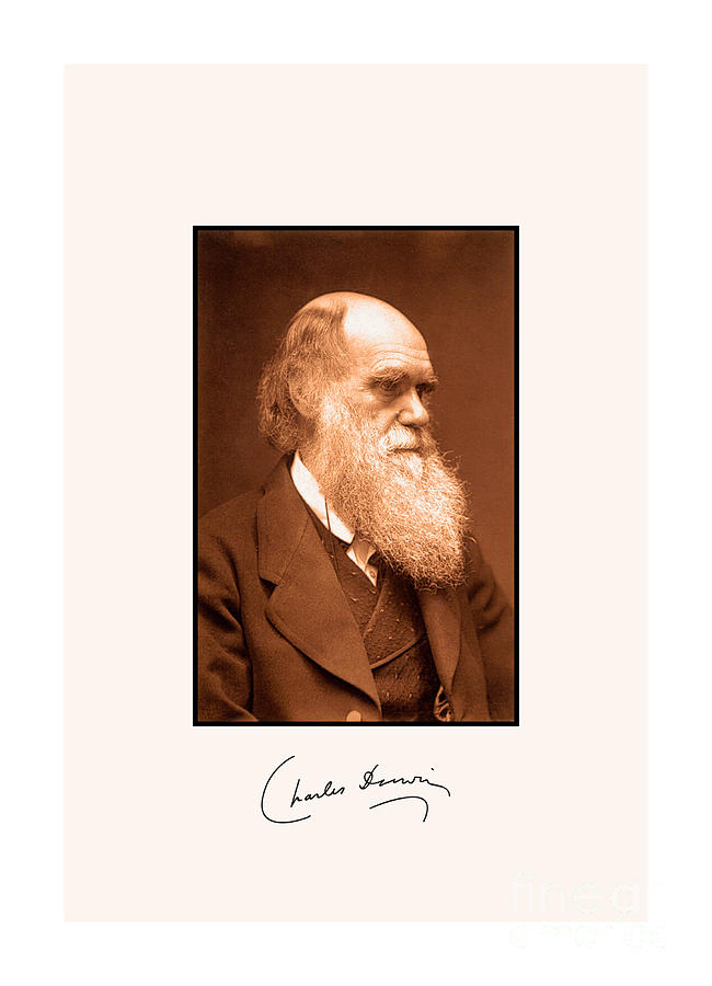 Charles Darwin autograph 1874  Photograph by Heidi De Leeuw