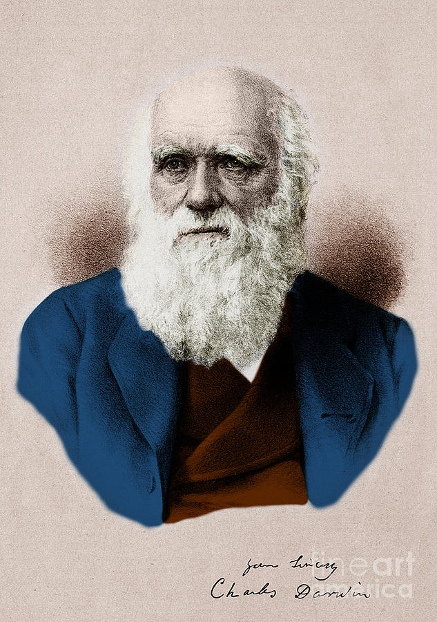 Charles Darwin, English Naturalist Photograph by Science Source