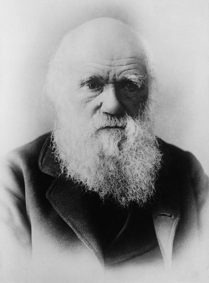 Charles Darwin - Father of Evolutionary Theory Photograph by War Is Hell Store