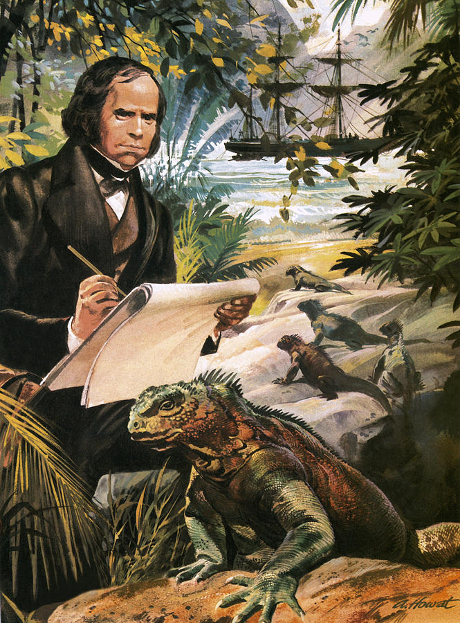 Nature Painting - Charles Darwin on the Galapagos Islands by Andrew Howat