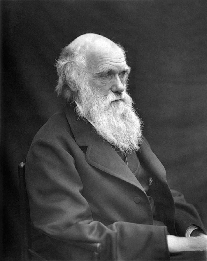 Charles Darwin Portrait - 1874 Photograph by War Is Hell Store