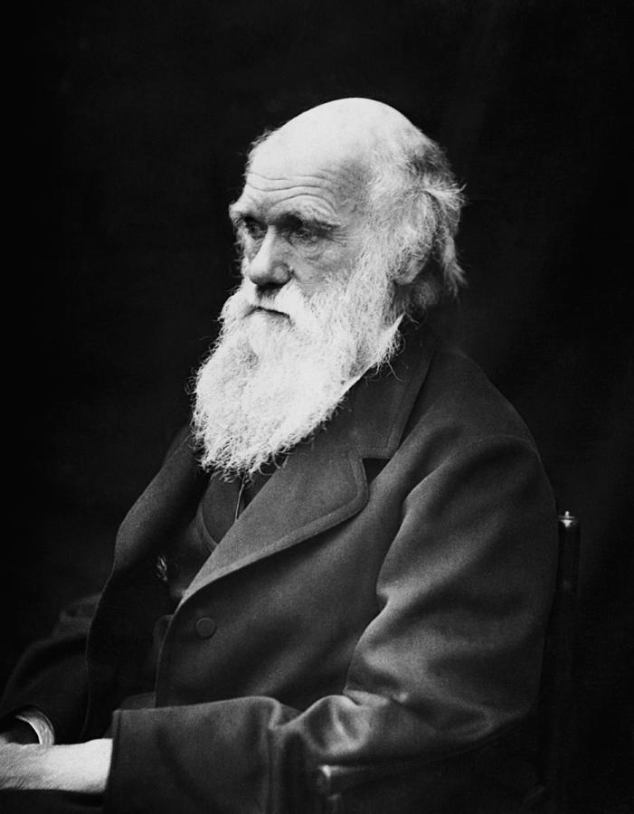 Charles Darwin Photograph by War Is Hell Store