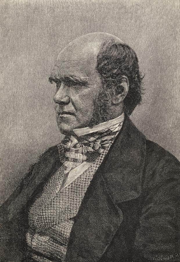 Charles Darwin,1809 1882 Aged 45 Drawing by Vintage Design Pics Fine