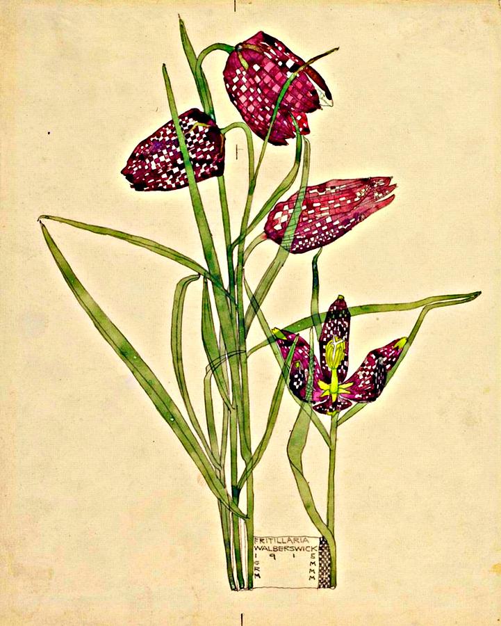 Flower Painting - Charles Rennie Mackintosh 3 by Charles Rennie Mackintosh