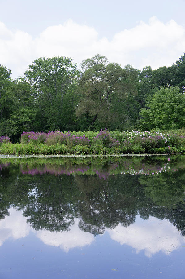 Charles River at Charles River Peninsula Photograph by Adam Gladstone ...