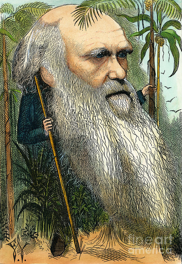 Charles Robert Darwin Photograph by Granger