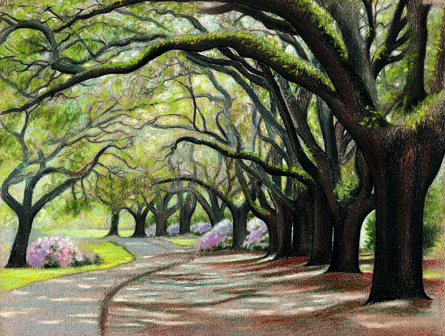 Tree Painting - Charles Town Landing Oak Trees by Nina Uccello