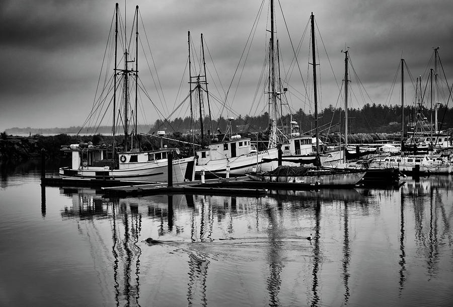 Charleston Bay, Oregon Photograph by Steven Clark