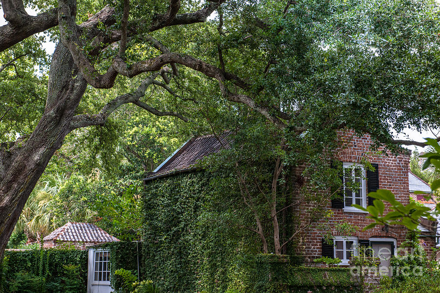Charleston Carriage House And Garden Photograph