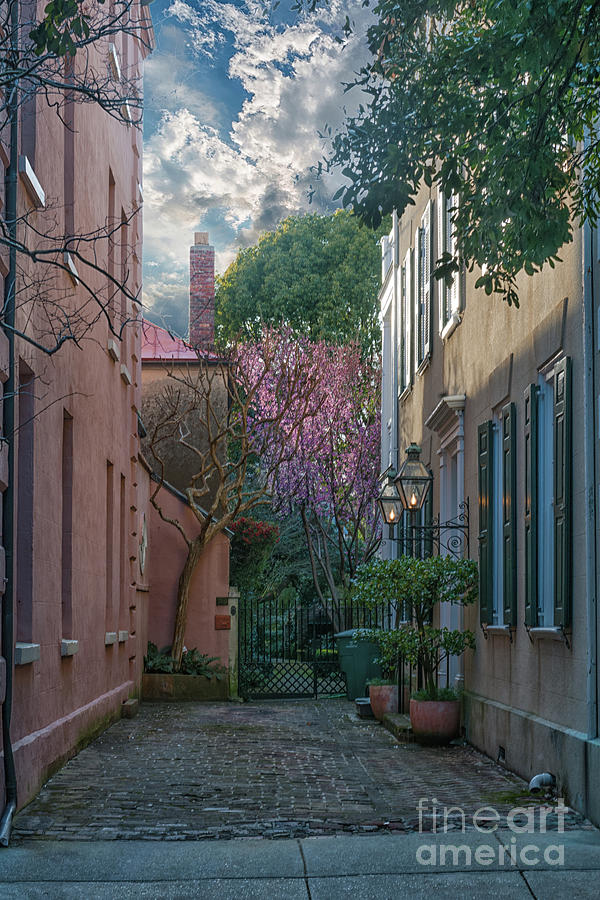 Charleston Colors Of Spring Photograph