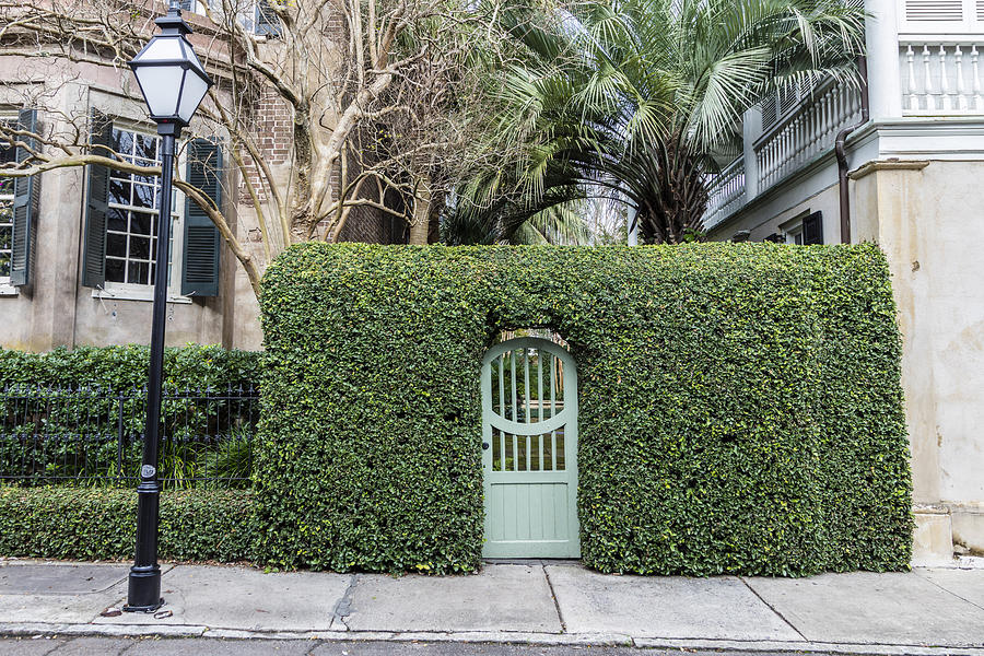 Charleston Door and Ivy  Photograph by John McGraw