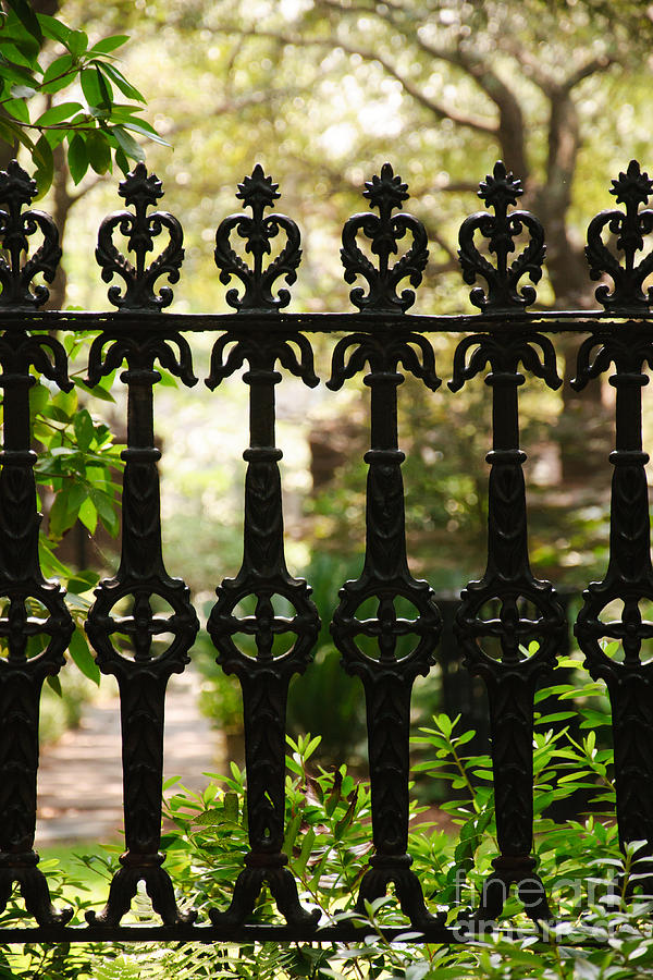 Charleston Fence Photograph by Susan Cliett