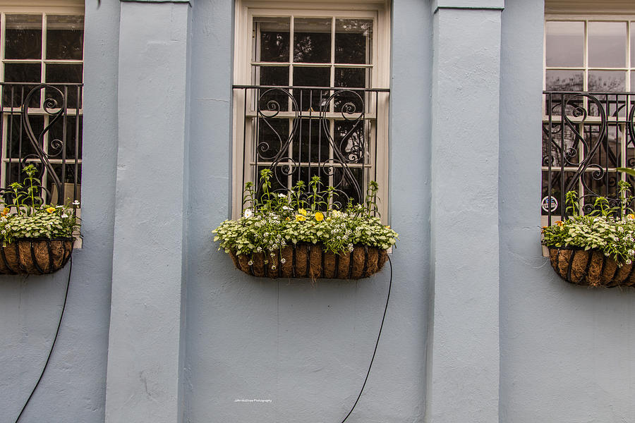 Charleston Flower Pots and Windows Photograph by John McGraw