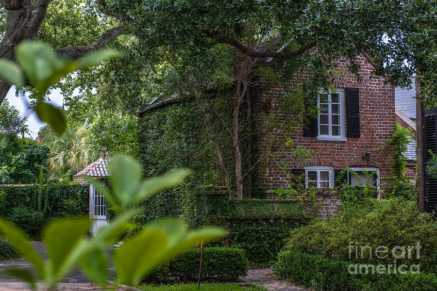 Charleston Garden And Carriage House Photograph