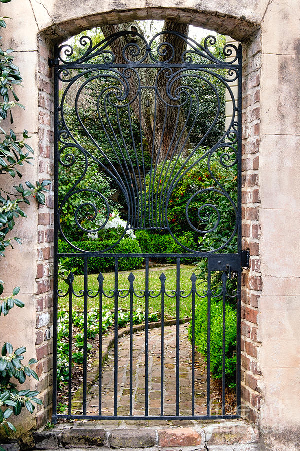 Charleston Gated Garden Photograph by Dawna Moore Photography