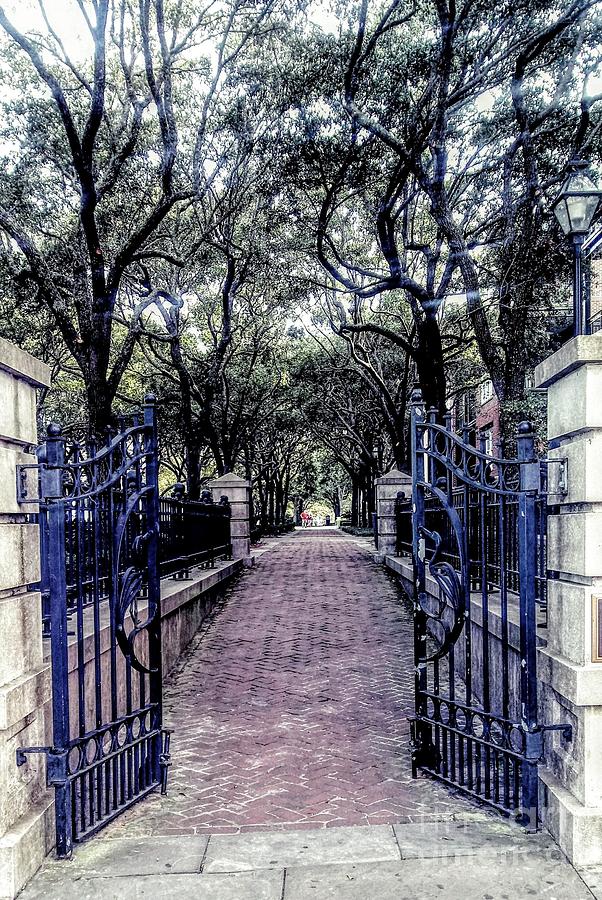 Charleston Gated Pathway Photograph by Pat Davidson