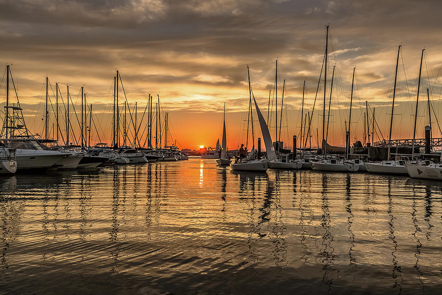 Charleston Harbor Marina Sunset Photograph by Donnie Whitaker