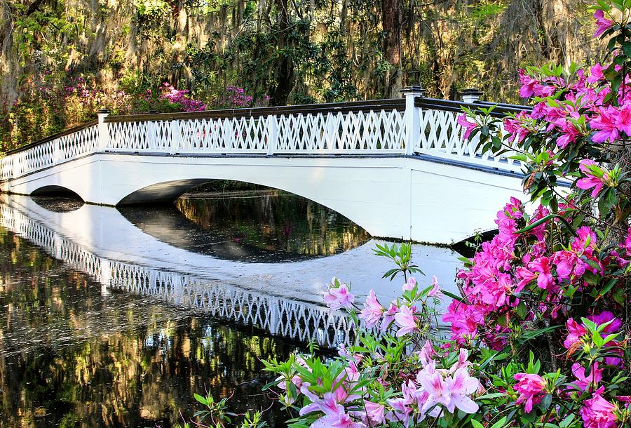 Charleston Magnolia Plantation White Lattice Bridge And Azaleas Photograph by Carol Montoya