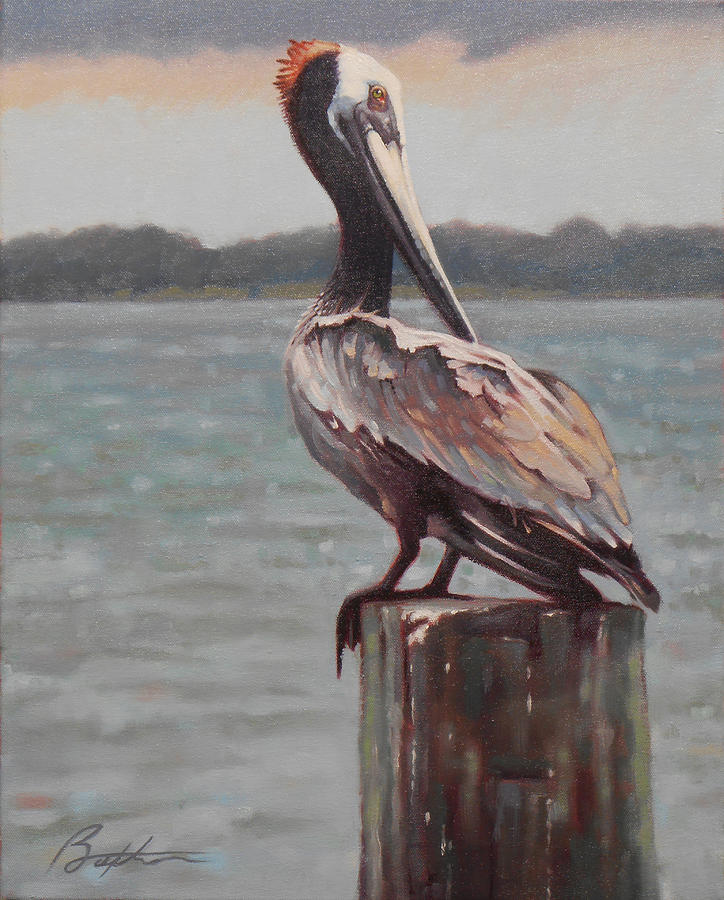 Pelican Painting - Charleston Pelican by Todd Baxter
