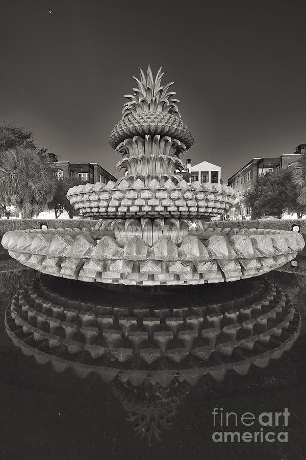 Charleston pineapple fountain fine art black and white Photograph by Dustin K Ryan