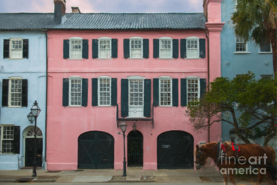 Charleston Pink Photograph by Dale Powell