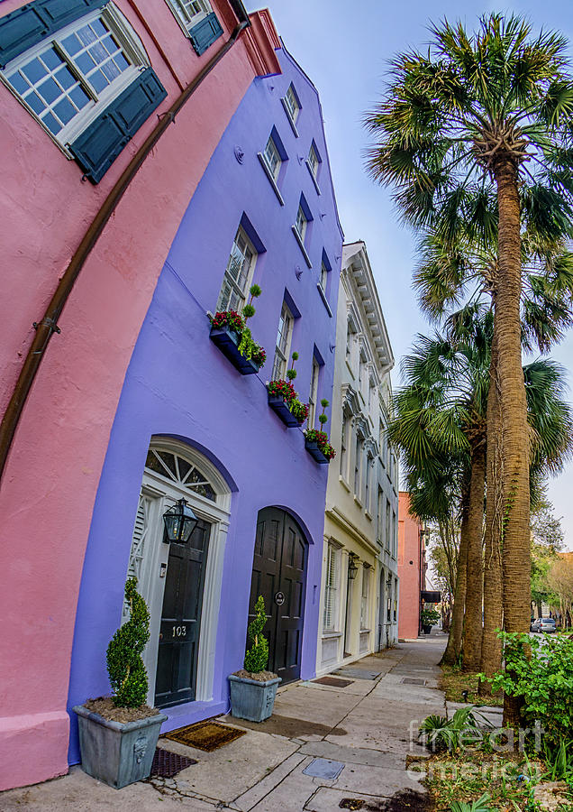 Charleston Rainbow Photograph by David Smith