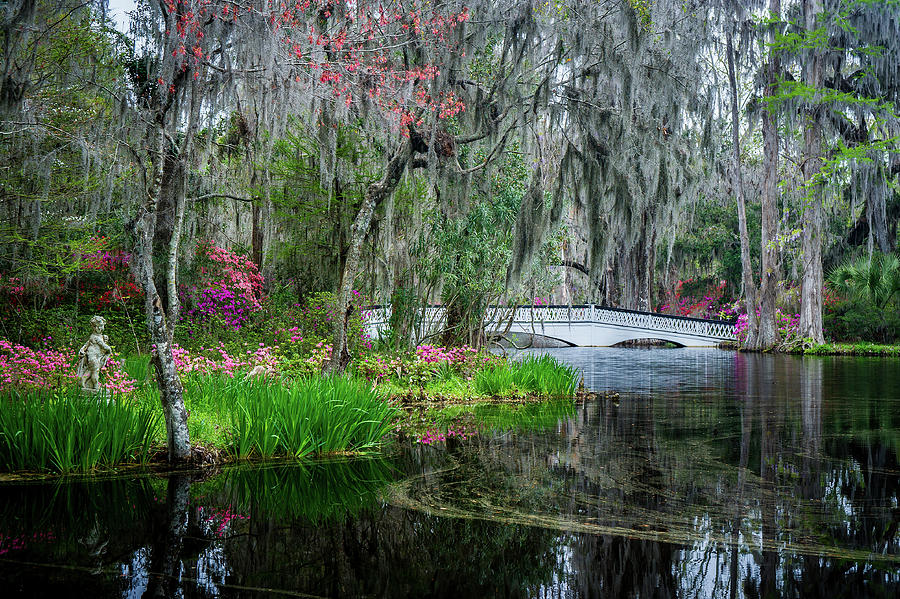 Charleston SC Spring Impressions Photograph by Robert Stephens