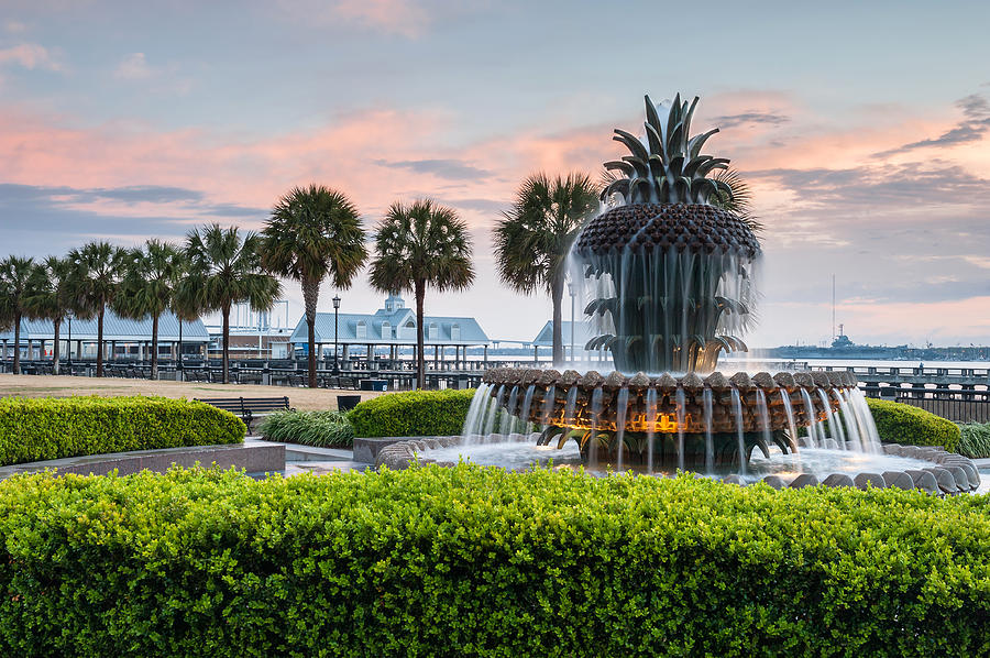 City Photograph - Charleston South Carolina Downtown Waterfront Park Pineapple Fountain by Mark VanDyke