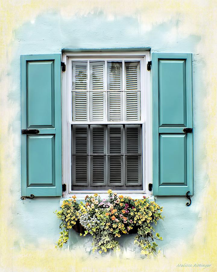 Charleston Spring Colors Photograph by Melissa Bittinger