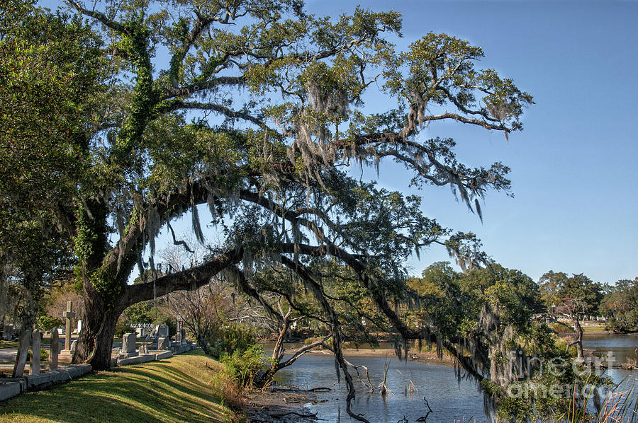 Magnolia Cemetery Photograph - Charleston Treasure by Dale Powell